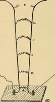 An illustration from Light energy, its physics, physiological action and therapeutic applications (1904)