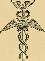 An illustration from Light energy, its physics, physiological action and therapeutic applications (1904)