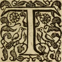 An illustration from Light from heaven : discovering the fountaine opened, the Angels acclamations, the Churches riches, the Rich povertie (1638)