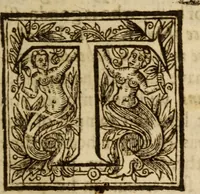 An illustration from Light from heaven : discovering the fountaine opened, the Angels acclamations, the Churches riches, the Rich povertie (1638)