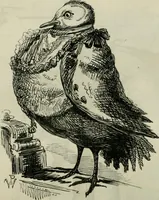 An illustration from Light from the lantern of Diogenes (1855)