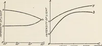 Picture 4 of 13 from Light in relation to tree growth (1911), leaf 20
