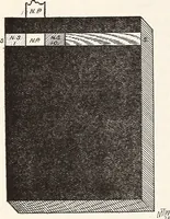 An illustration from Light in relation to tree growth (1911)