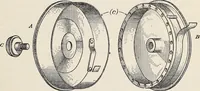 An illustration from Light in relation to tree growth (1911)