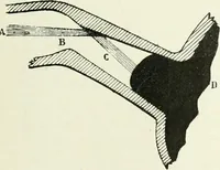 An illustration from Light and lighting (1908)