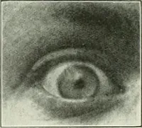 An illustration from Light and lighting (1908)