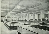 An illustration from Light and lighting (1908)