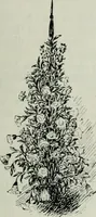 An illustration from Light and lighting (1908)