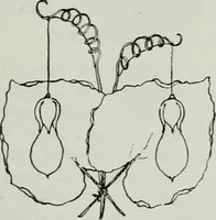 Picture 64 of 216 from Light and lighting (1908), leaf 124