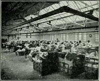 An illustration from Light and lighting (1908)