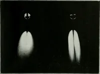 An illustration from Light and lighting (1908)