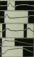 An illustration from Light and lighting (1908)
