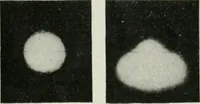 An illustration from Light and lighting (1908)