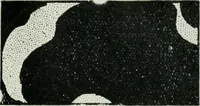 An illustration from Light and lighting (1908)