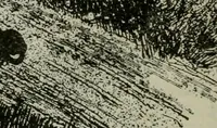 An illustration from Light and lighting (1908)