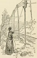 An illustration from Lightning flashes and electric dashes, a volume of choice telegraphic literature, humor, fun, wit & wisdom (1877)