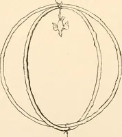 Picture 7 of 13 from The light of Britannia. The mysteries of ancient British druidism unveiled; the original source of phallic worship, and the secrets of the court of King Arthur revealed; the creed of the stone age restored, and the Holy Grael discovered in Wales (1893), leaf 119