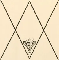 Picture 8 of 13 from The light of Britannia. The mysteries of ancient British druidism unveiled; the original source of phallic worship, and the secrets of the court of King Arthur revealed; the creed of the stone age restored, and the Holy Grael discovered in Wales (1893), leaf 273
