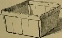 An illustration from Light and shade with chapters on charcoal, pencil, and brush drawing : a manual for teachers and students (1901)