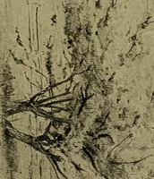 An illustration from Light and shade with chapters on charcoal, pencil, and brush drawing : a manual for teachers and students (1901)