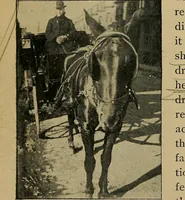 An illustration from Light and shade with chapters on charcoal, pencil, and brush drawing : a manual for teachers and students (1901)