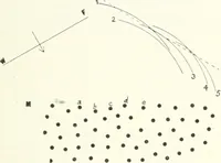 An illustration from Light, a textbook for students who have had one year of physics (1921)