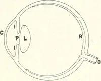An illustration from Light, a textbook for students who have had one year of physics (1921)