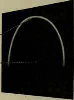 An illustration from Light visible and invisible : a series of lectures delivered at the Royal Institution of Great Britain, at Christmas, 1896 (1897)