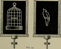 An illustration from Light visible and invisible : a series of lectures delivered at the Royal Institution of Great Britain, at Christmas, 1896 (1897)