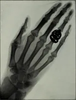 An illustration from Light visible and invisible : a series of lectures delivered at the Royal Institution of Great Britain, at Christmas, 1896 (1897)