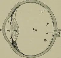 An illustration from Light visible and invisible : a series of lectures delivered at the Royal Institution of Great Britain, at Christmas, 1896 (1897)