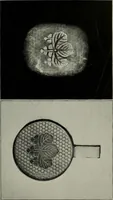 An illustration from Light visible and invisible : a series of lectures delivered at the Royal Institution of Great Britain, at Christmas, 1896 (1897)