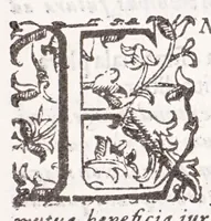 An illustration from Liliatum viridarium : eminen.mo principi Stephano card.li Duratio et archipraesuli a Genuensi Seminario excultum reuerendo Franco Gneco rectore (1640)