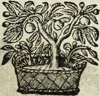 Picture 5 of 31 from Li marmi eruditi, ouero, Lettere sopra alcune antiche inscrizione (1659), leaf 14