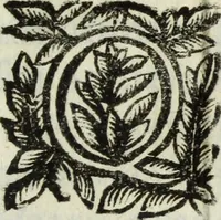 Picture 26 of 31 from Li marmi eruditi, ouero, Lettere sopra alcune antiche inscrizione (1659), leaf 230