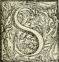 Picture 78 of 97 from L'imperio vendicato (1690), leaf 380