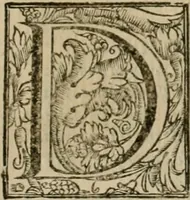 Picture 33 of 44 from L'imperio vendicato (1679), leaf 176
