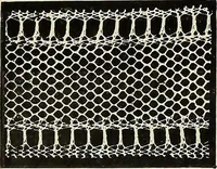 An illustration from L'Industrie des tulles & dentelles mécaniques dans Le Pas-de-Calais, 1815-1900 (1900)
