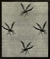 Picture 312 of 449 from L'Industrie des tulles & dentelles mécaniques dans Le Pas-de-Calais, 1815-1900 (1900), leaf 401