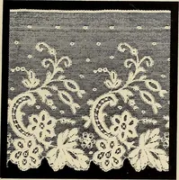 An illustration from L'Industrie des tulles & dentelles mécaniques dans Le Pas-de-Calais, 1815-1900 (1900)