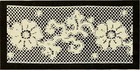 An illustration from L'Industrie des tulles & dentelles mécaniques dans Le Pas-de-Calais, 1815-1900 (1900)