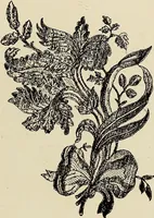 An illustration from L'Industrie des tulles & dentelles mécaniques dans Le Pas-de-Calais, 1815-1900 (1900)