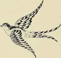 An illustration from L'Industrie des tulles & dentelles mécaniques dans Le Pas-de-Calais, 1815-1900 (1900)
