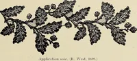 An illustration from L'Industrie des tulles & dentelles mécaniques dans Le Pas-de-Calais, 1815-1900 (1900)