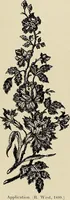 An illustration from L'Industrie des tulles & dentelles mécaniques dans Le Pas-de-Calais, 1815-1900 (1900)