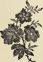 An illustration from L'Industrie des tulles & dentelles mécaniques dans Le Pas-de-Calais, 1815-1900 (1900)