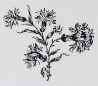 An illustration from L'industrie des tulles et dentelles mécanique dans le Pas-de-Calais, 1815-1900 / Henri Hénon (1900)