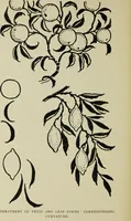 An illustration from Line & form (1902)