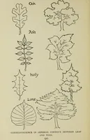 An illustration from Line & form (1902)