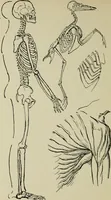 An illustration from Line & form (1902)